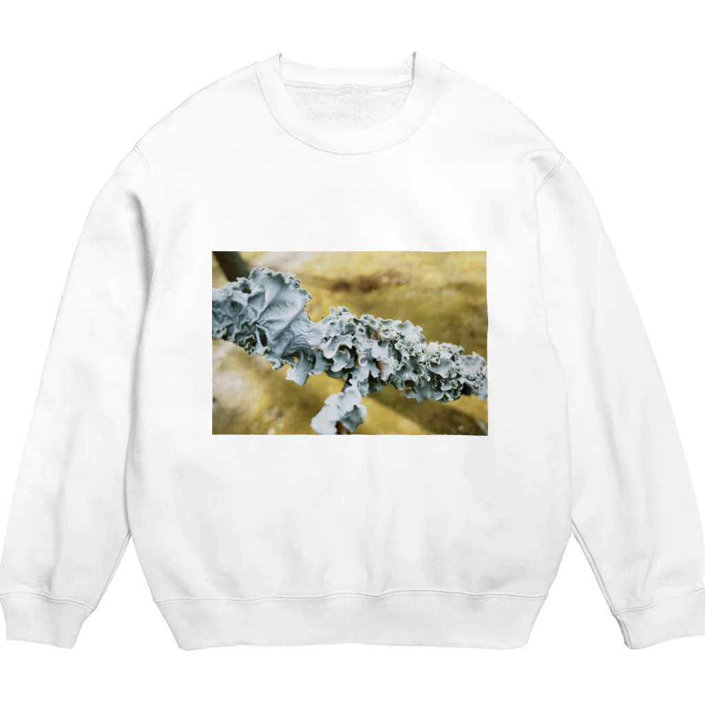 chiiruiの地衣類 Crew Neck Sweatshirt