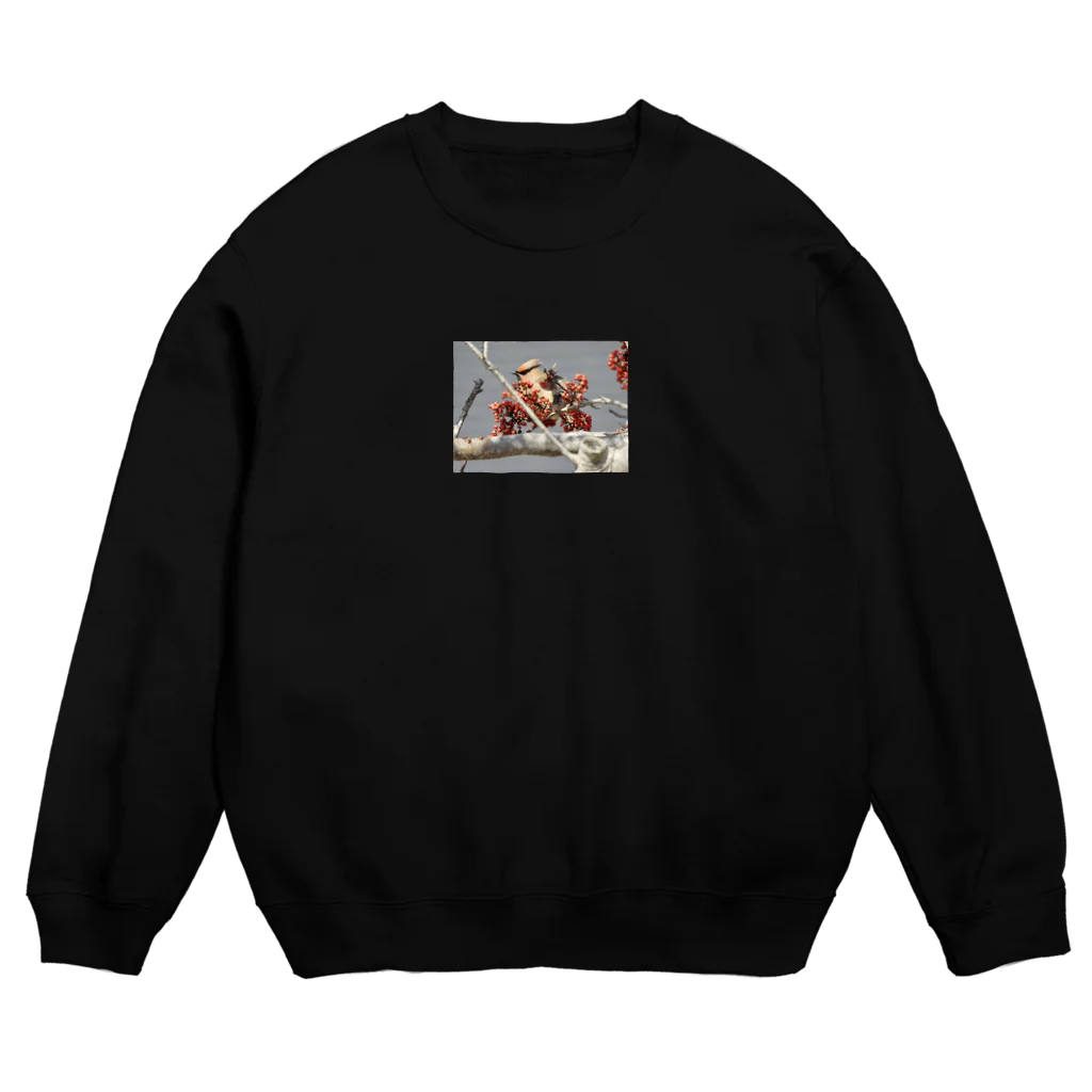 カワセミLOVEの出身歌舞伎町ヒレンジャク Crew Neck Sweatshirt