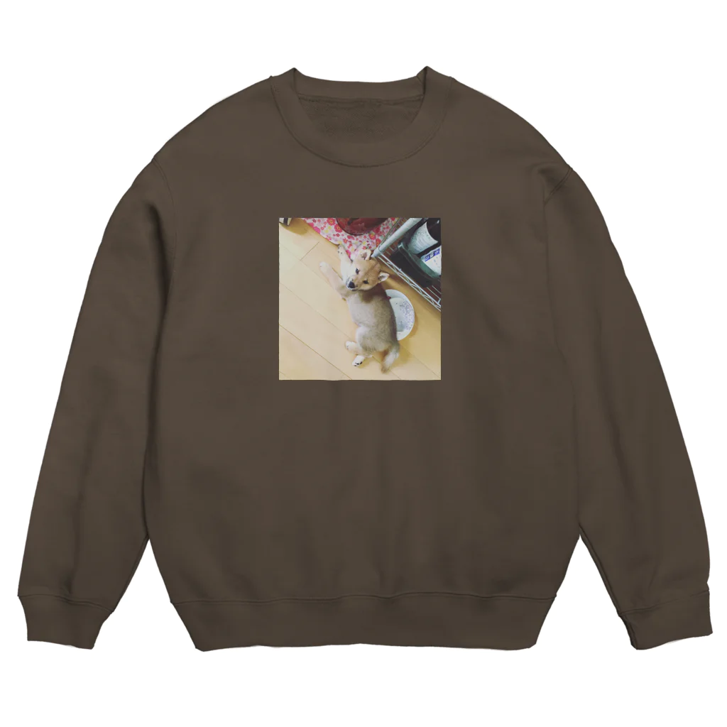 こはるちゃん(柴犬の女の子、2020年6月生まれ)のこはるちゃん13？ Crew Neck Sweatshirt