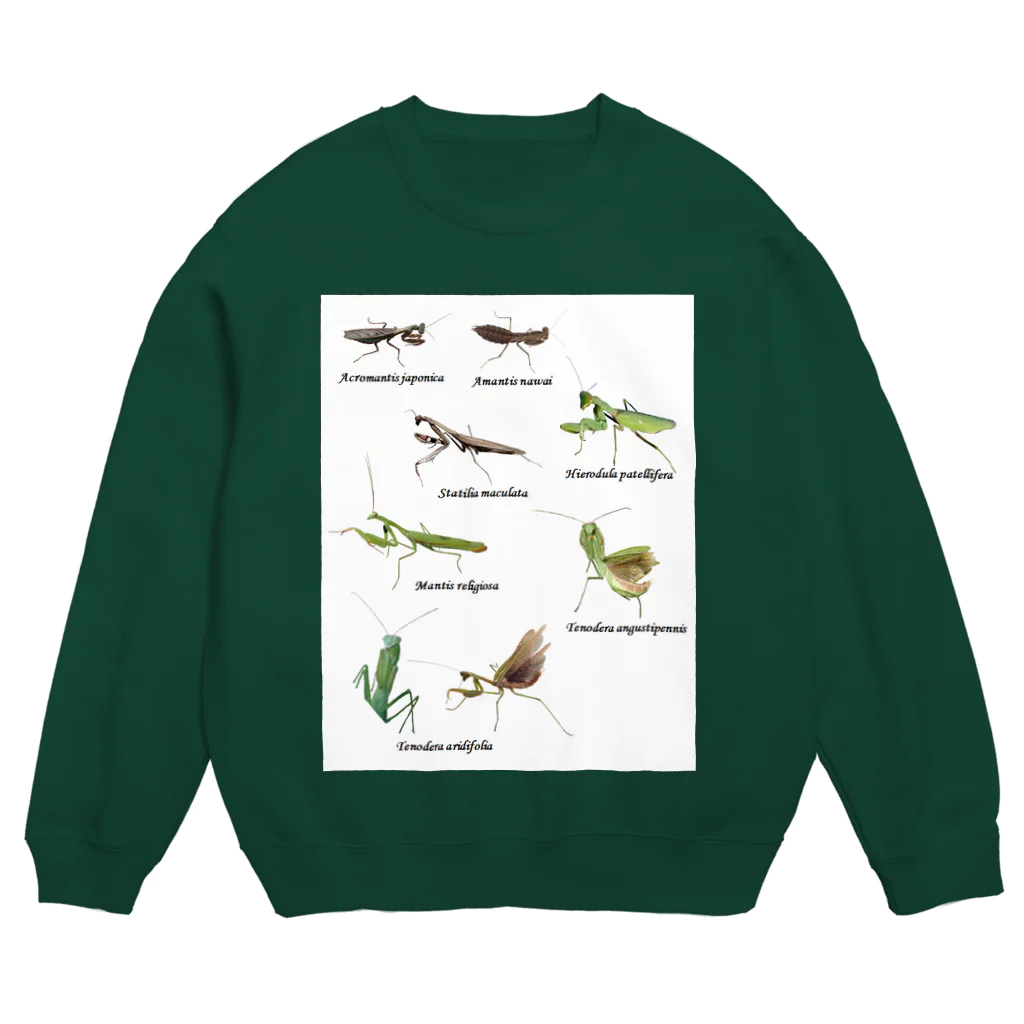 L_arctoaの関東のカマキリ（旧学名・非推奨）（背景白色ver） Crew Neck Sweatshirt