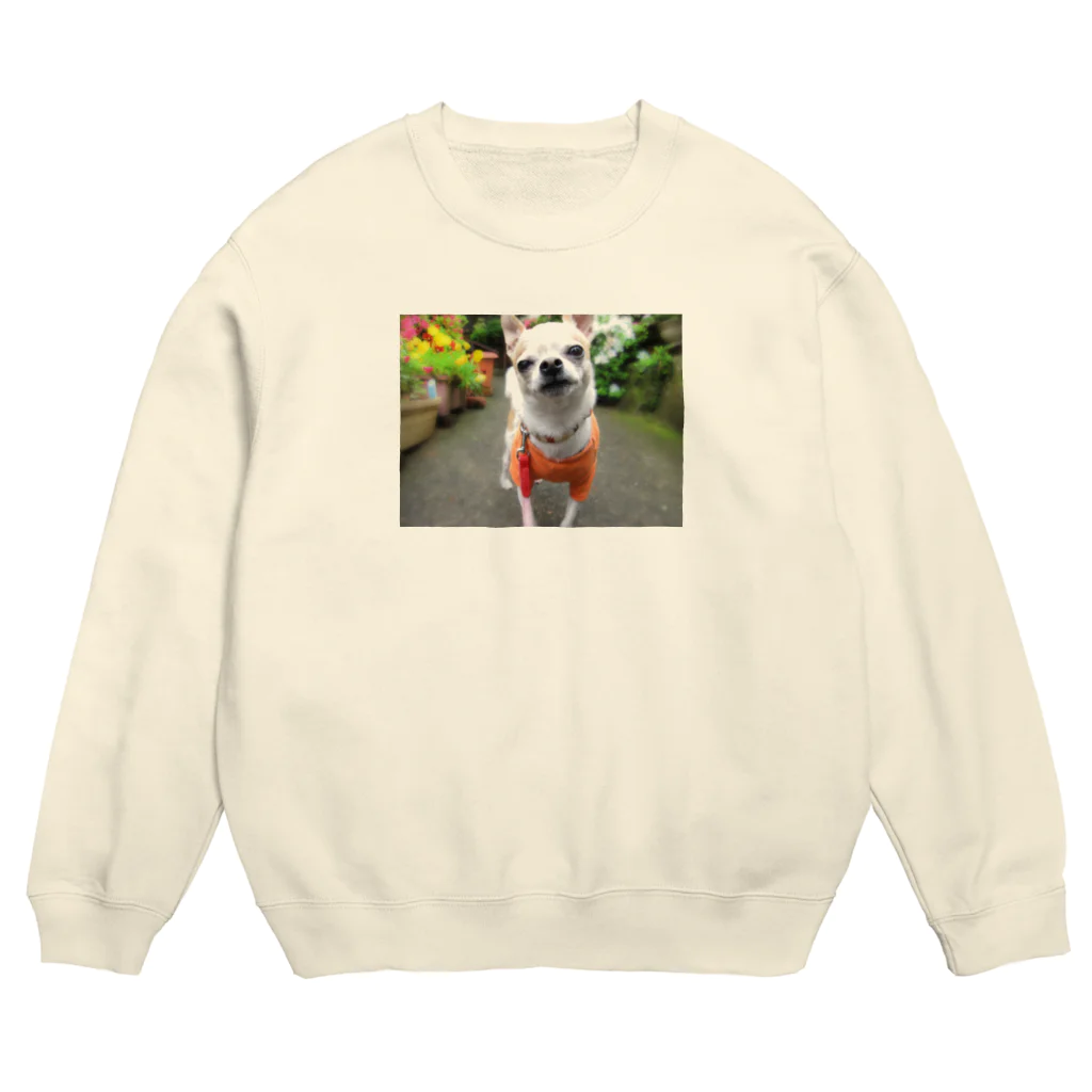 akane_art（茜音工房）のカラフルチワワ（フラワー） Crew Neck Sweatshirt