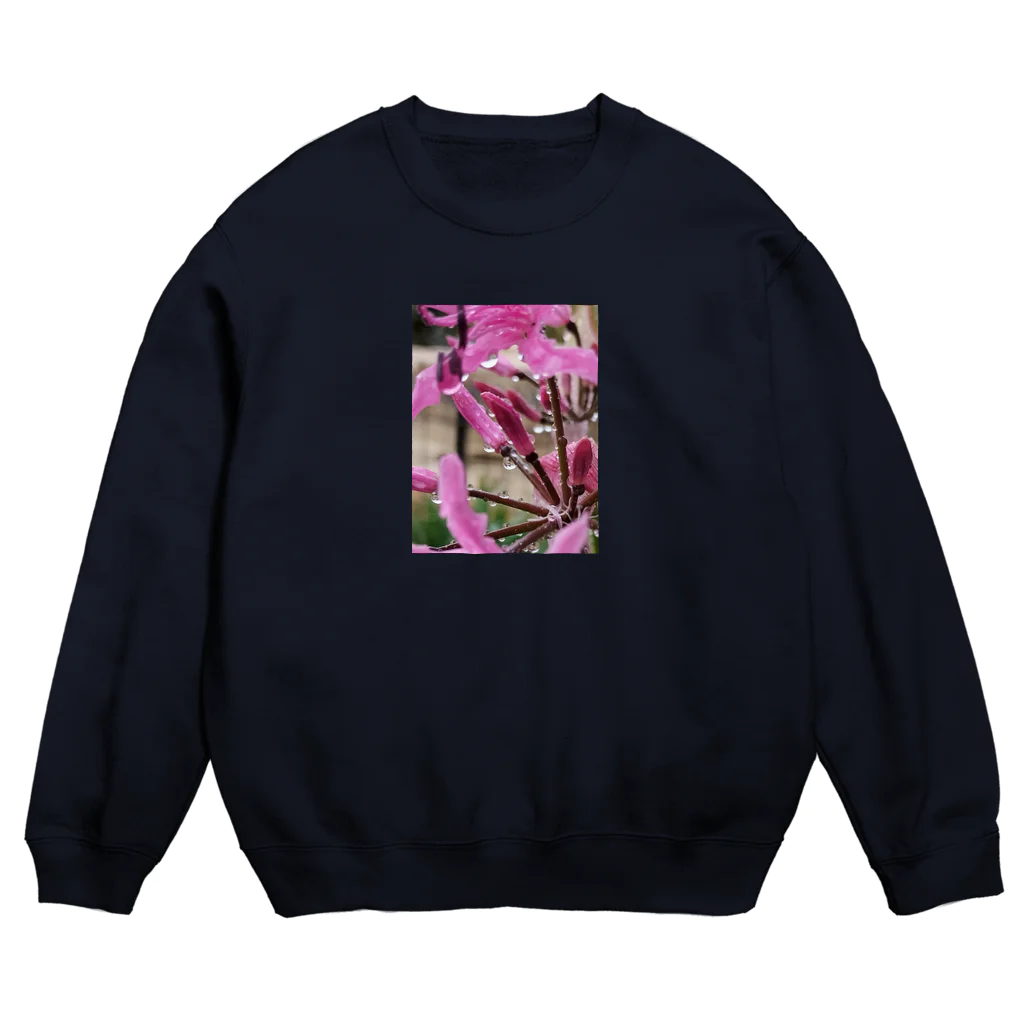 R O S E M A R Y☆A Y A N K AのRain Crew Neck Sweatshirt