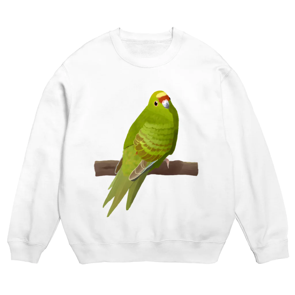 街のいろどりのキガシラアオハシインコ(前面プリント) Crew Neck Sweatshirt