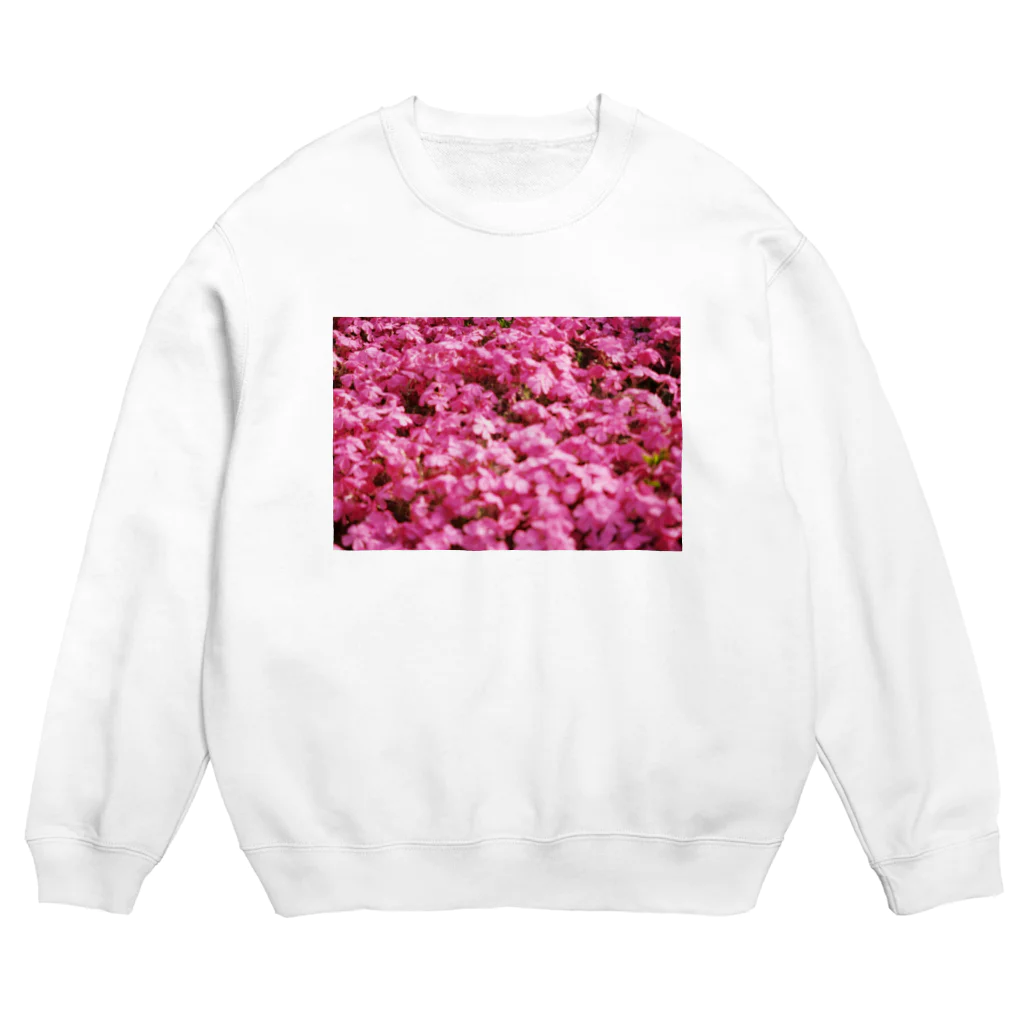 てくてく写真館の芝桜 Crew Neck Sweatshirt