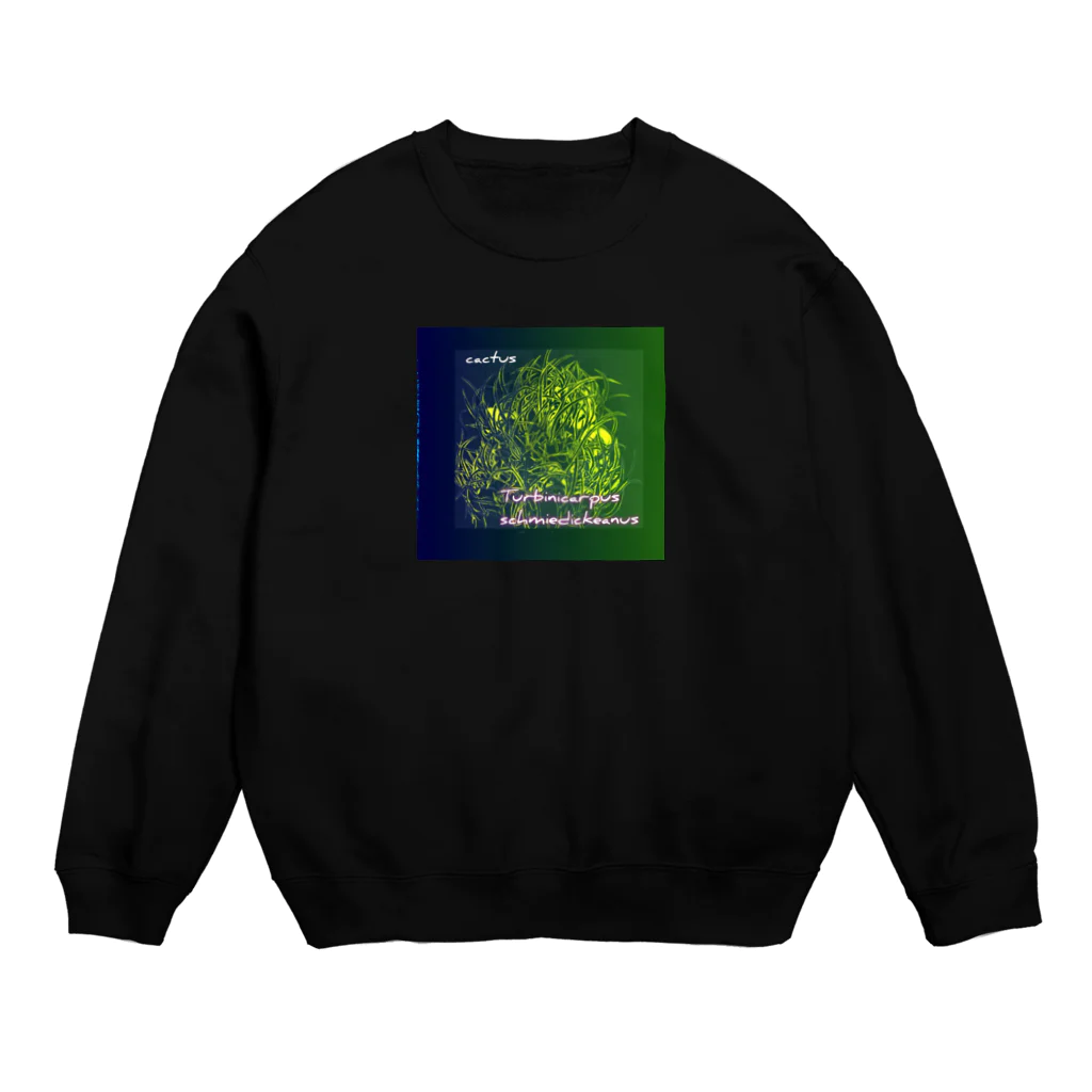 Hakoniwaraboの4cacutsﾖﾝﾌﾞﾝﾉｻﾝ Crew Neck Sweatshirt