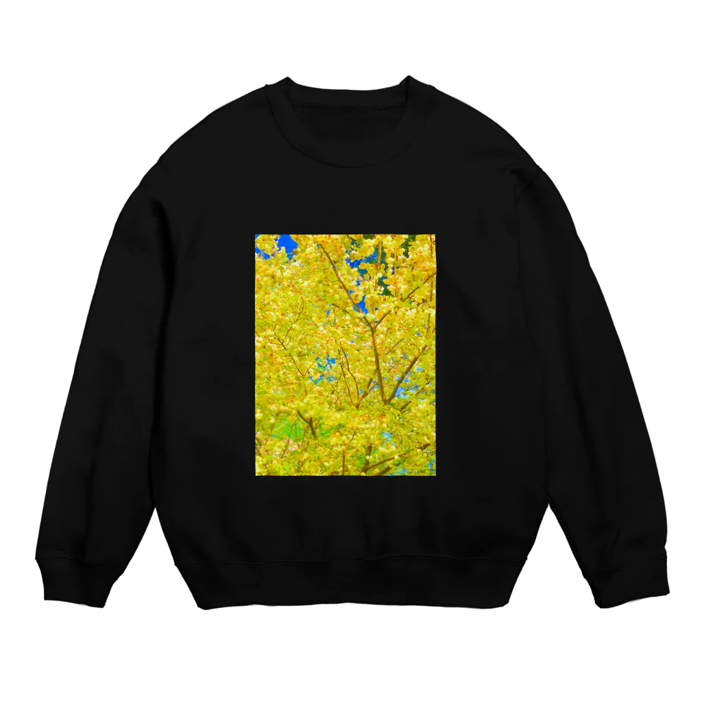 33GaMaのgreen-gold-flower Crew Neck Sweatshirt