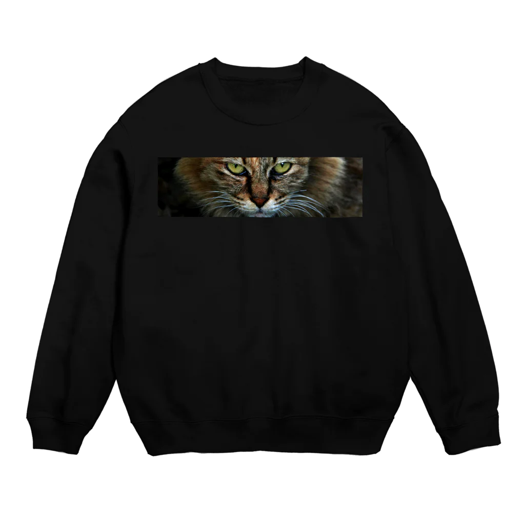 308GTBooの野良猫 Crew Neck Sweatshirt