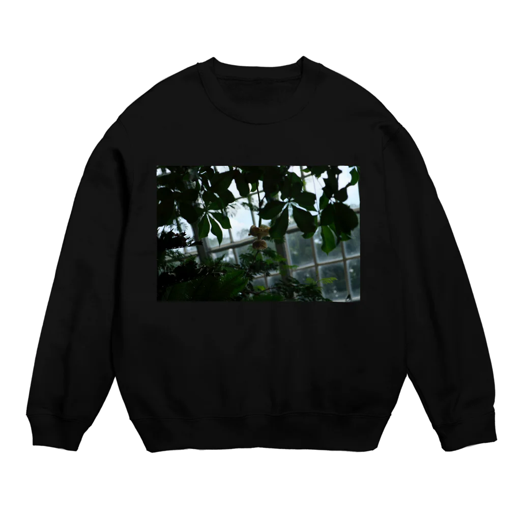 synsiloのバオバブ Crew Neck Sweatshirt