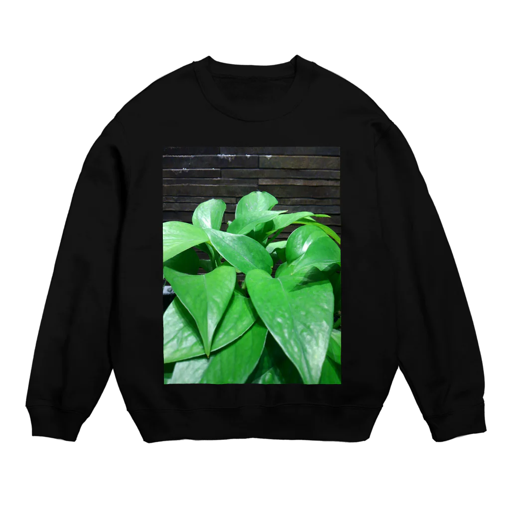 koasaichiのgreen Crew Neck Sweatshirt