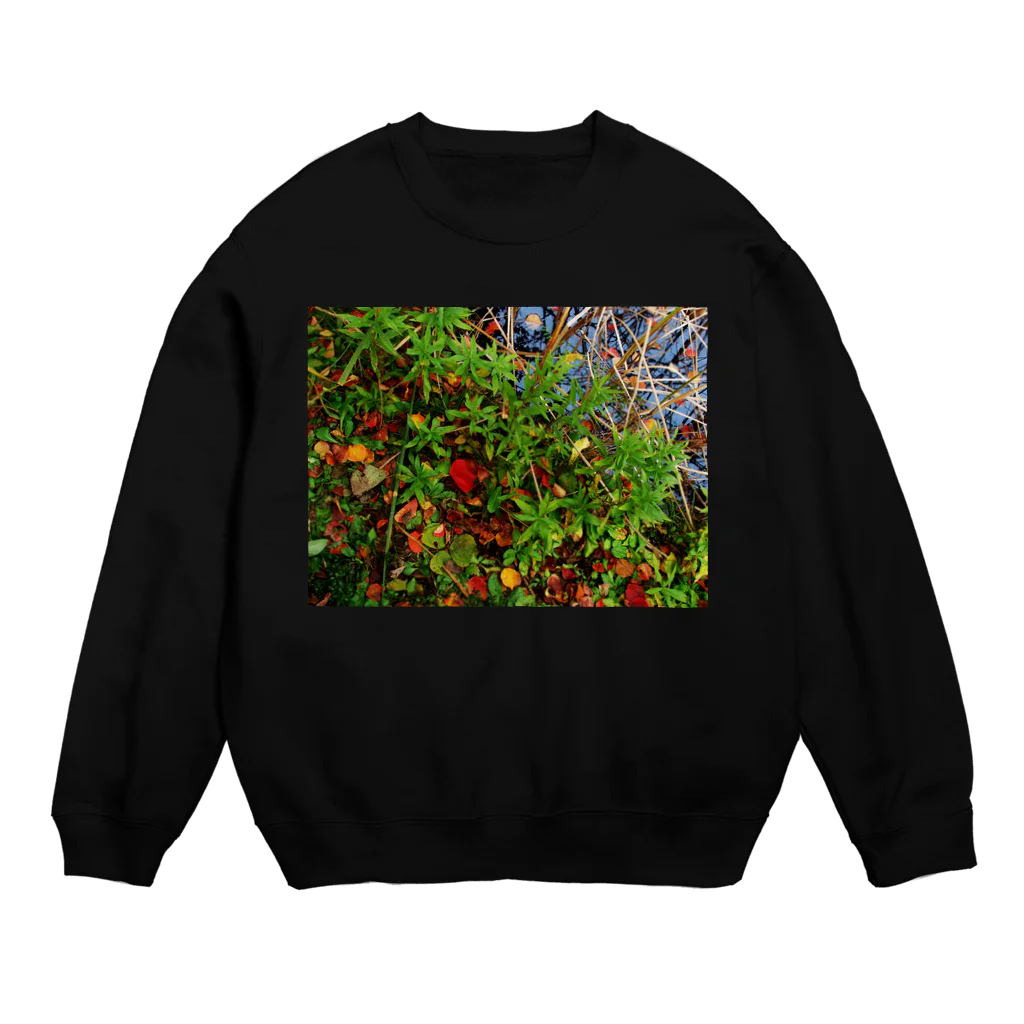 hiroki-naraの秋の水辺　DATA_P_145 Crew Neck Sweatshirt