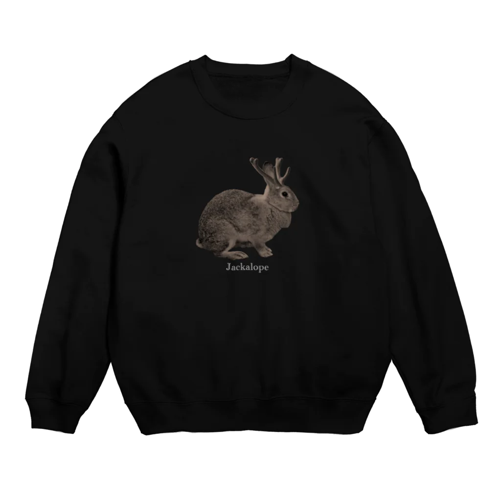 Jackalope Houseの未確認動物 スウェット