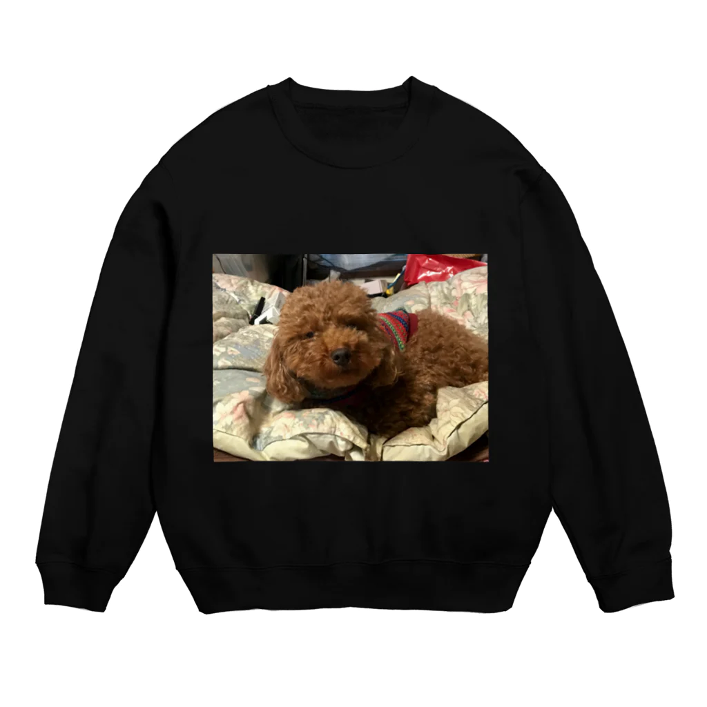 セリカのうちの愛犬かずま Crew Neck Sweatshirt