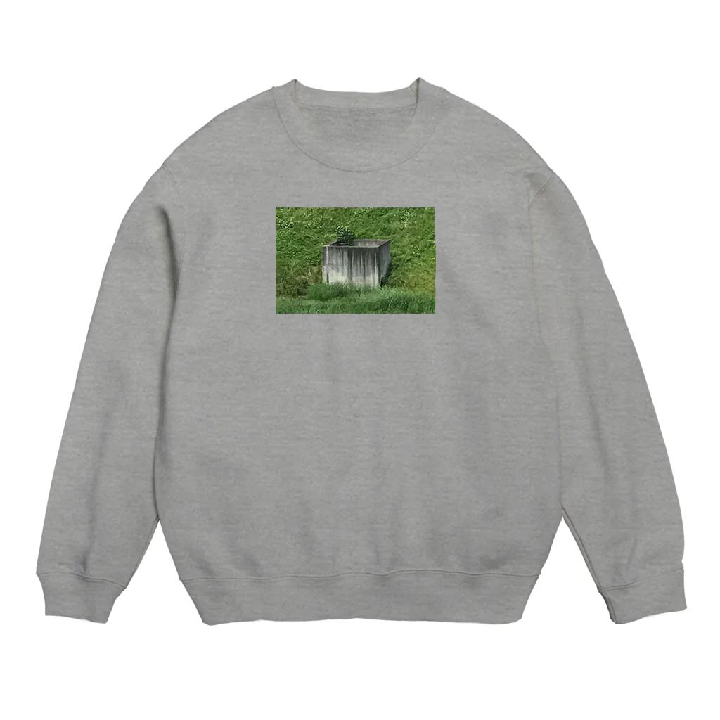 アイメイエンドの謎のコンクリート建造物と生い茂る植物 Crew Neck Sweatshirt