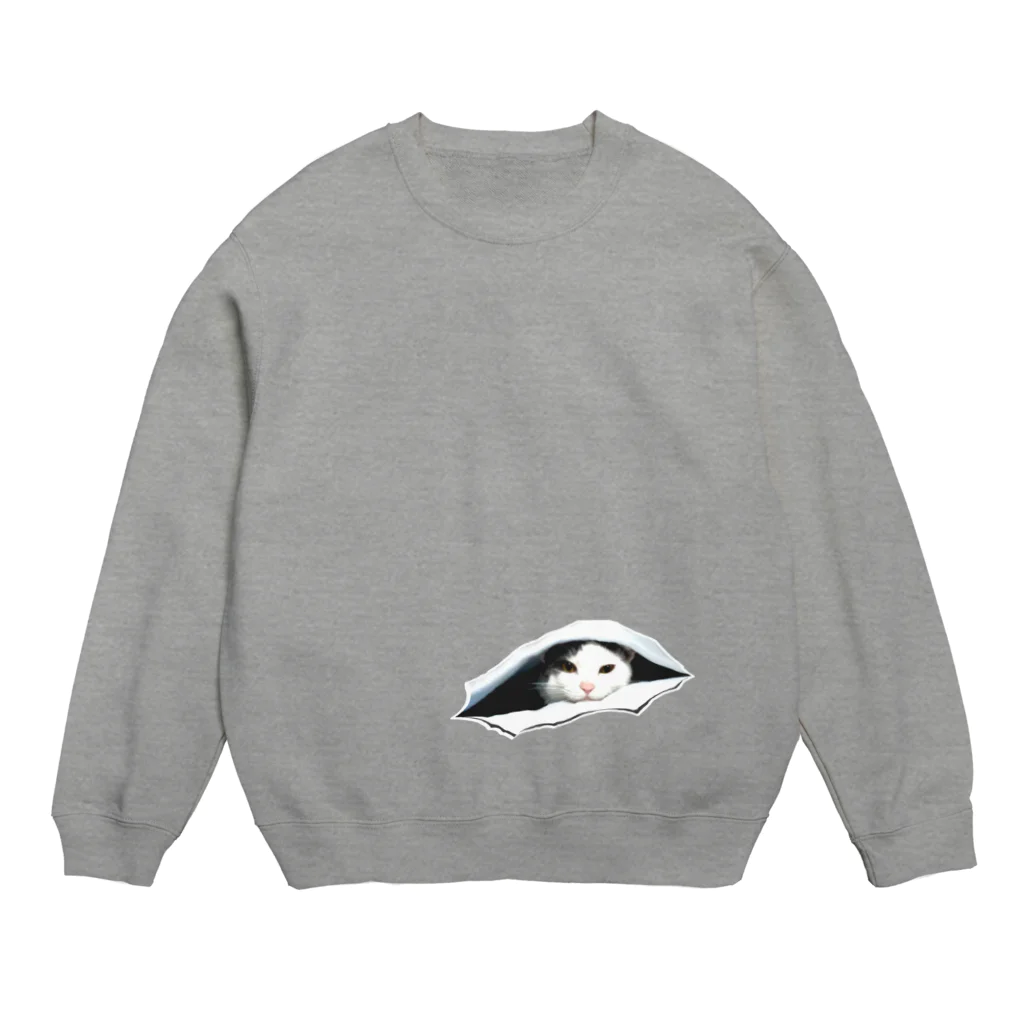 はるかのLook Crew Neck Sweatshirt