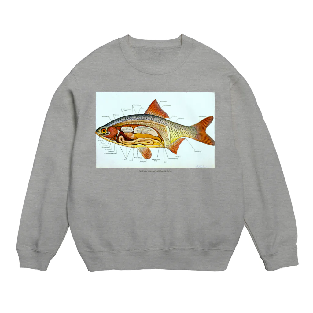 Rubbishのさかなの解剖 Crew Neck Sweatshirt