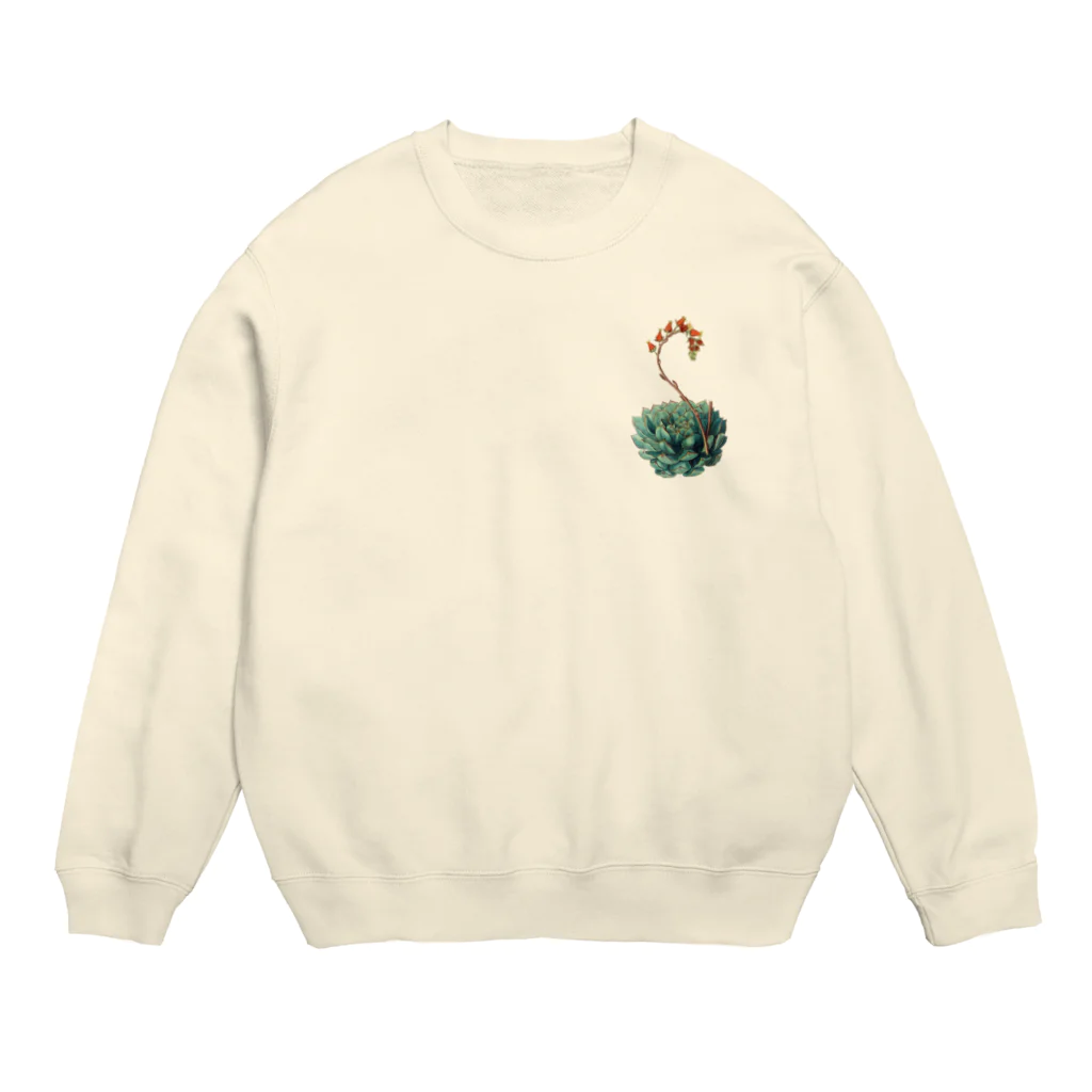 Nursery Rhymes  【アンティークデザインショップ】のエケベリア・セクンダ（文字無し版） Crew Neck Sweatshirt