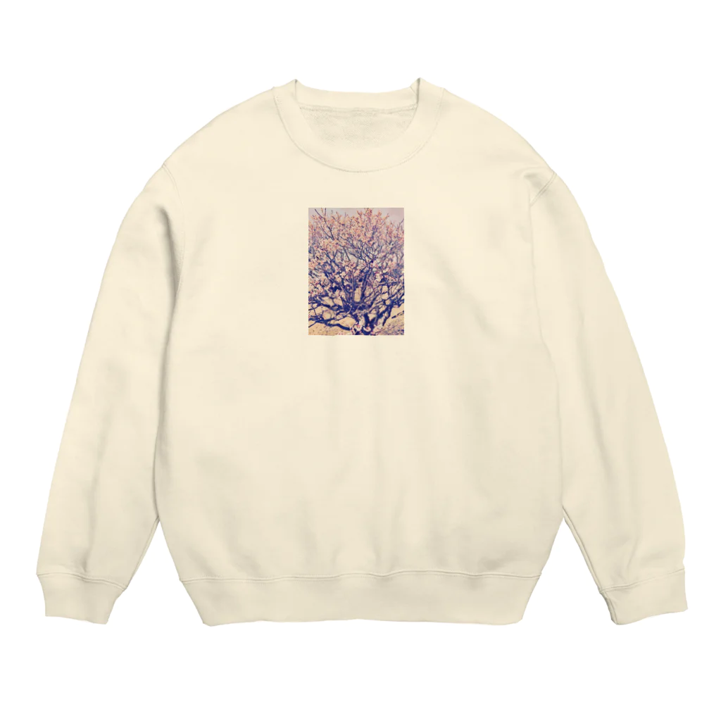 なおのこと雑貨店のハルよ来い Crew Neck Sweatshirt