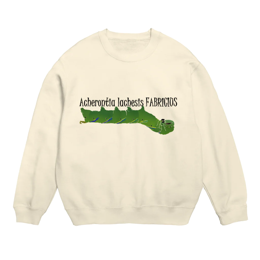 セセリのクロメンガタスズメの幼虫 Crew Neck Sweatshirt