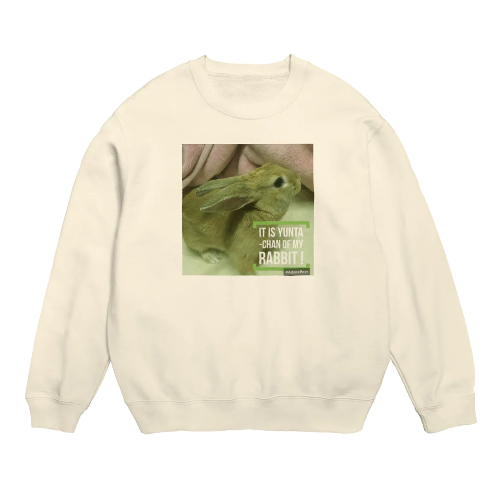 usagiの愛兎ゆんたちゃん０歳です。 Crew Neck Sweatshirt