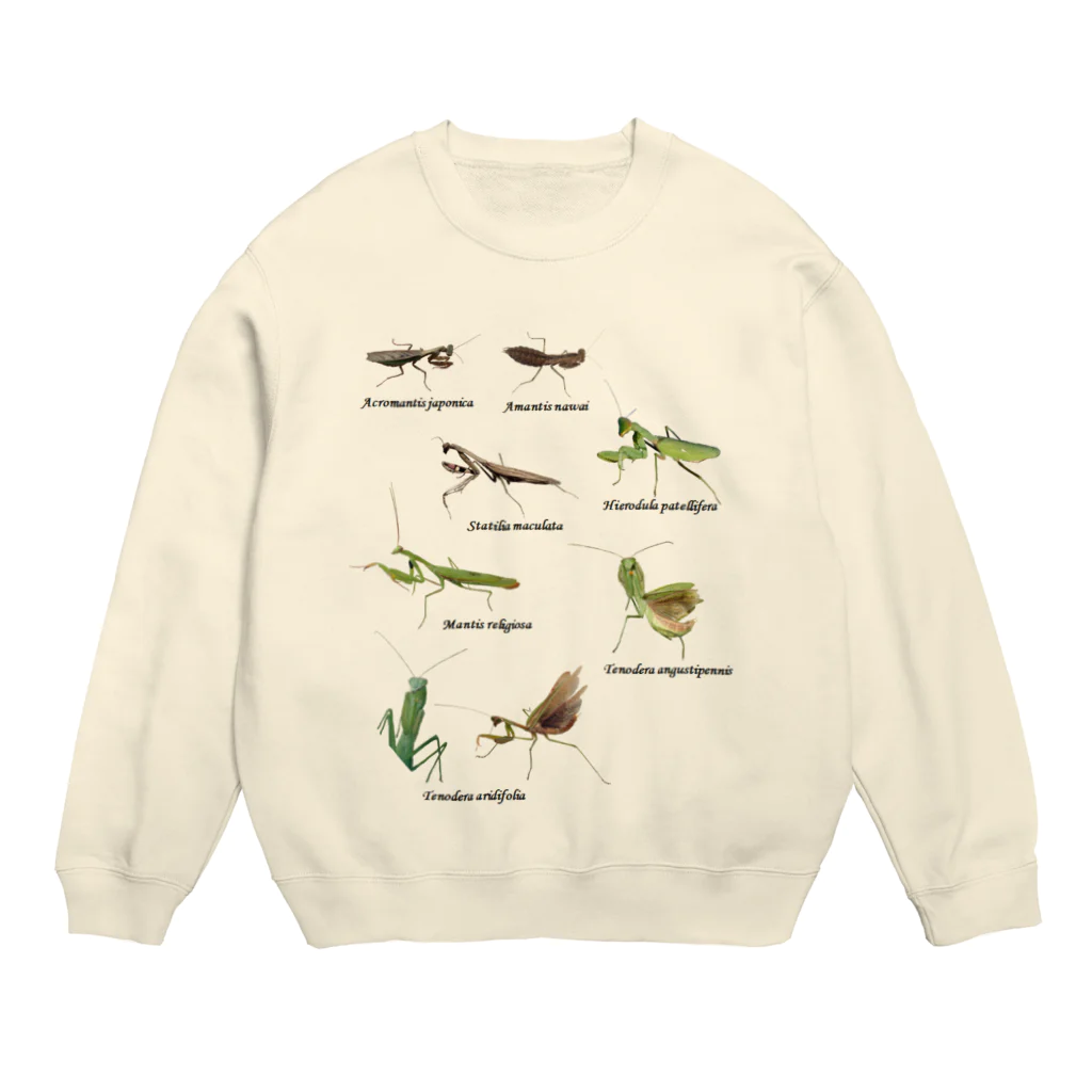 L_arctoaの関東のカマキリ（旧学名・非推奨）（背景白色ver） Crew Neck Sweatshirt