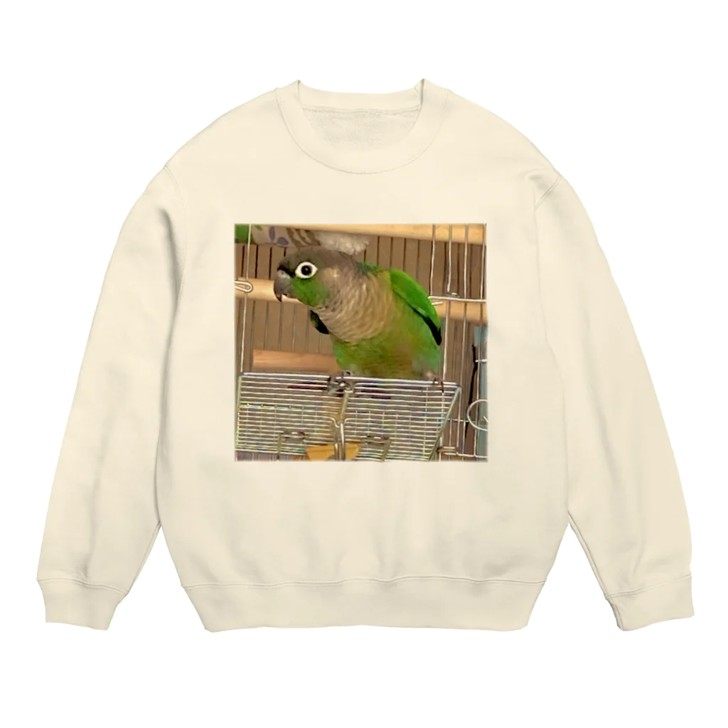 inko andのウロコインコのおーちゃん Crew Neck Sweatshirt