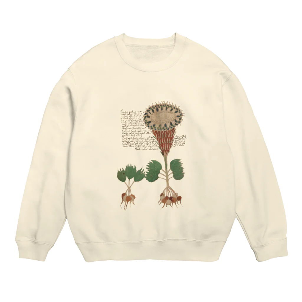 KilyuSanのVoynich0081 Crew Neck Sweatshirt