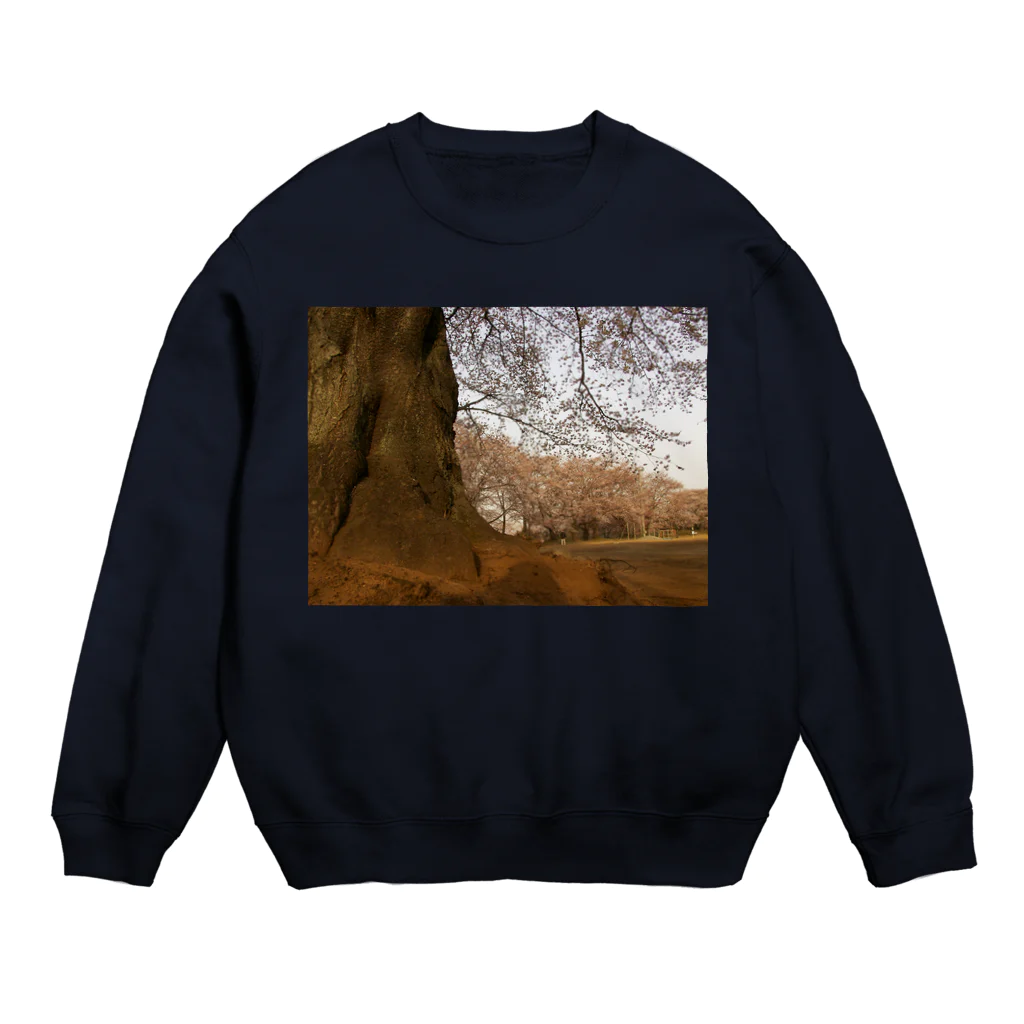 hiroki-naraの桜　サクラ　cherry blossom DATA_P_104 Crew Neck Sweatshirt