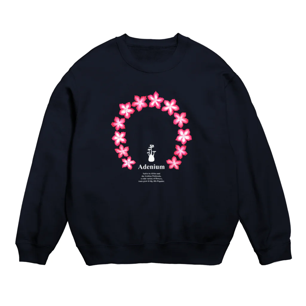 DOTEKKOのT-29 Adenium Crew Neck Sweatshirt