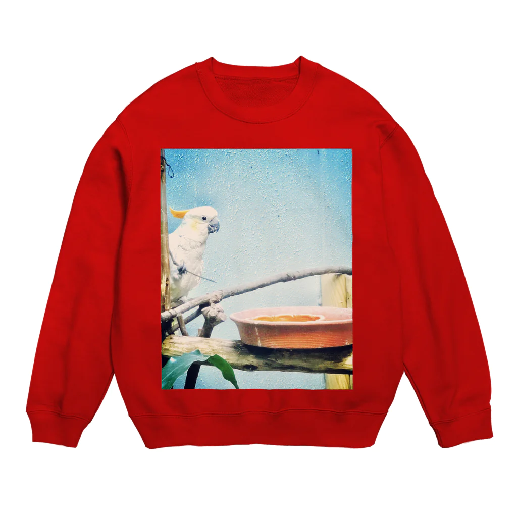 anaanaのzoo Crew Neck Sweatshirt