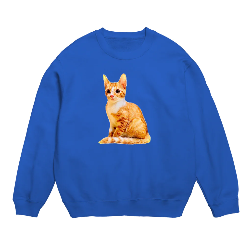 ねこだいすきばばあのKAWAII CHATORA NEKO Crew Neck Sweatshirt