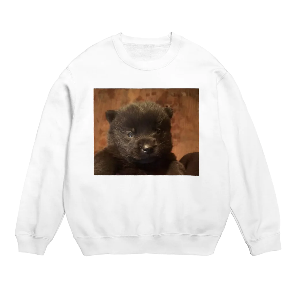 julyの甲斐犬　 Crew Neck Sweatshirt