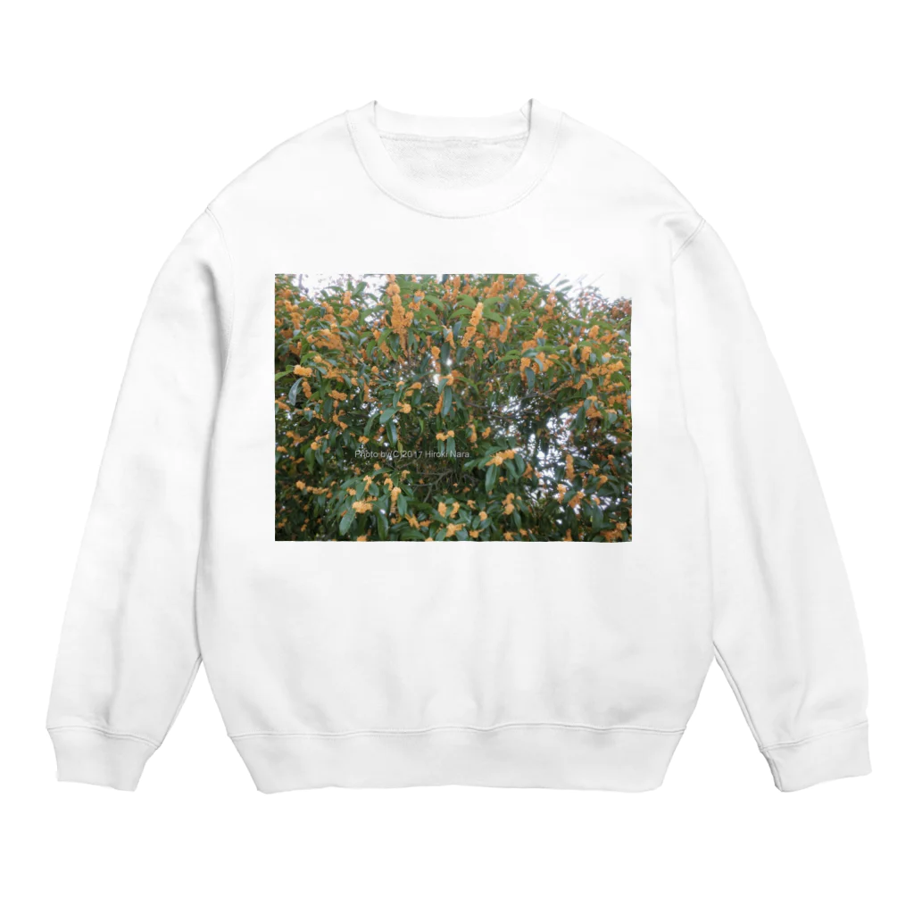 hiroki-naraの光景　sight740　キンモクセイ　金木犀　花 FLOWERS　壁紙 Crew Neck Sweatshirt