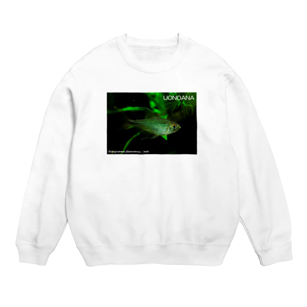 魚飼ゆかい＠ほぼお休み中のHemigrammus filamentosus / male Crew Neck Sweatshirt