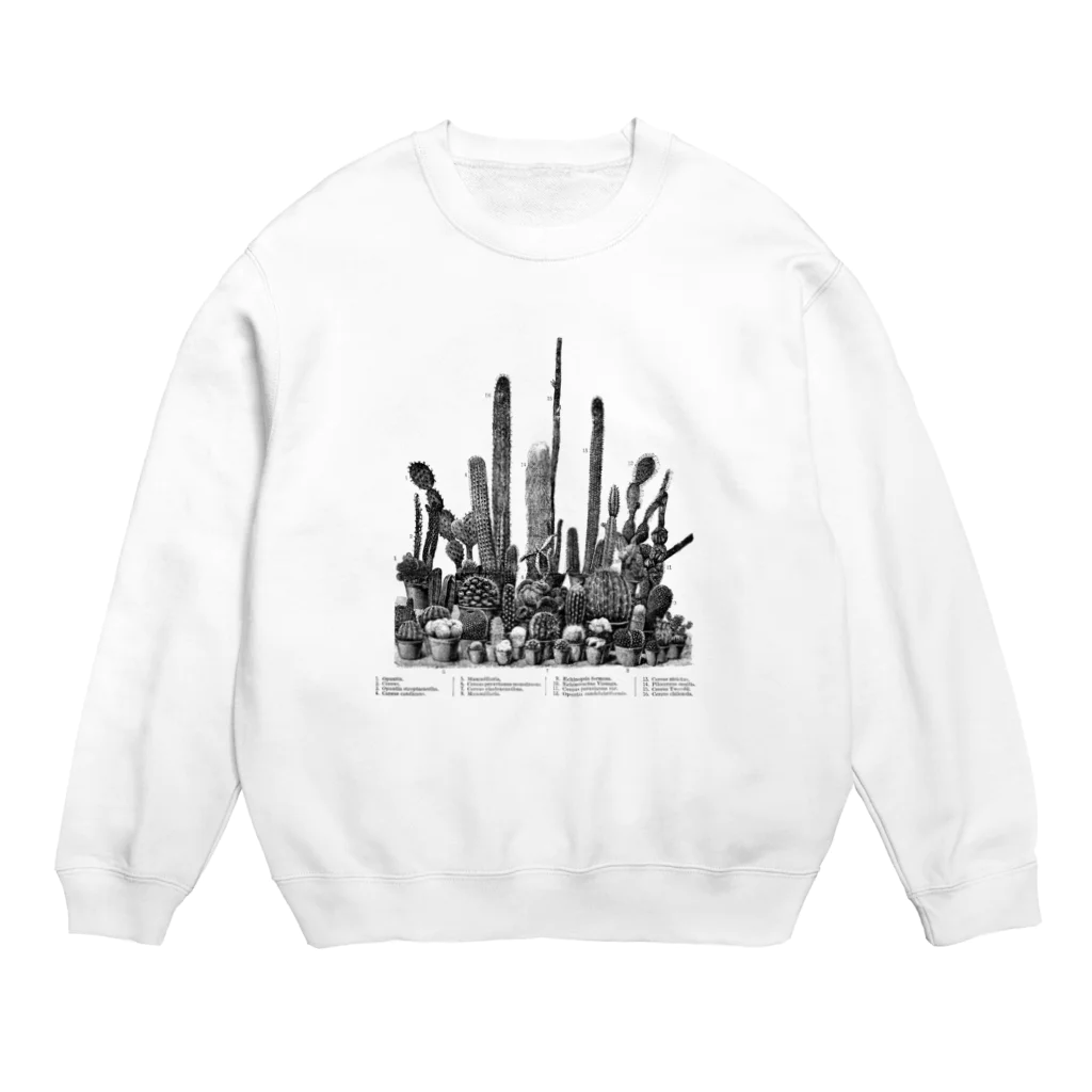 古書　天牛書店のたくさんのサボテン＜アンティーク・イラスト＞ Crew Neck Sweatshirt