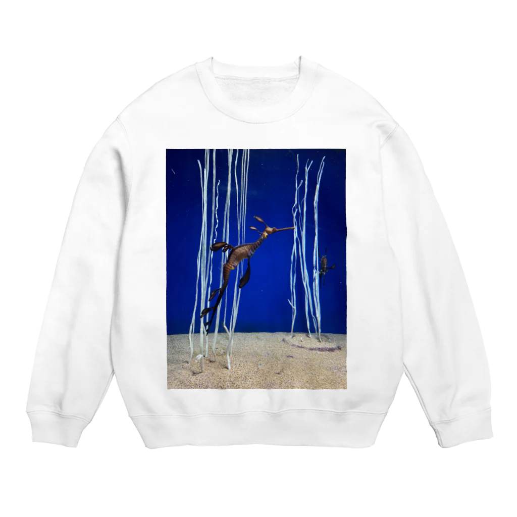 HIROMI10のウィーディ·シードラゴン Crew Neck Sweatshirt