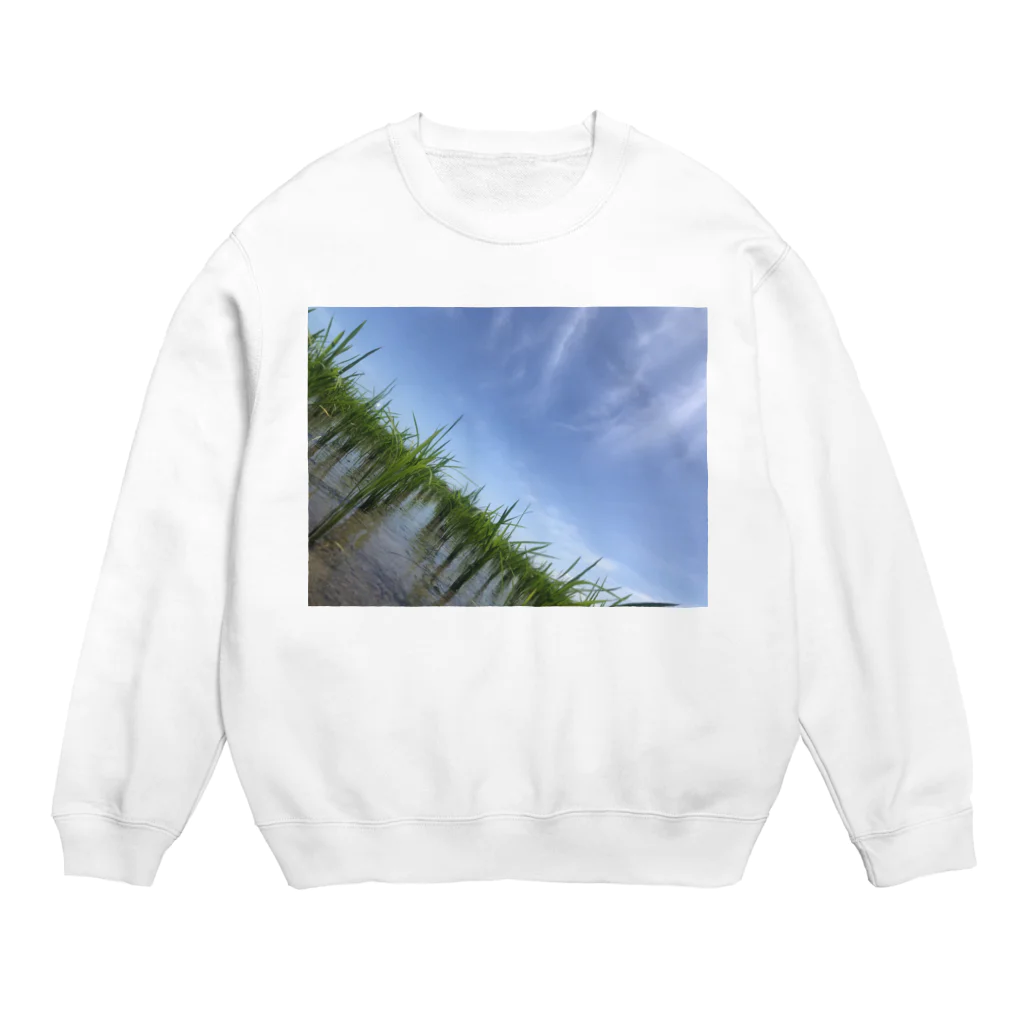 soranoの田んぼと空 Crew Neck Sweatshirt