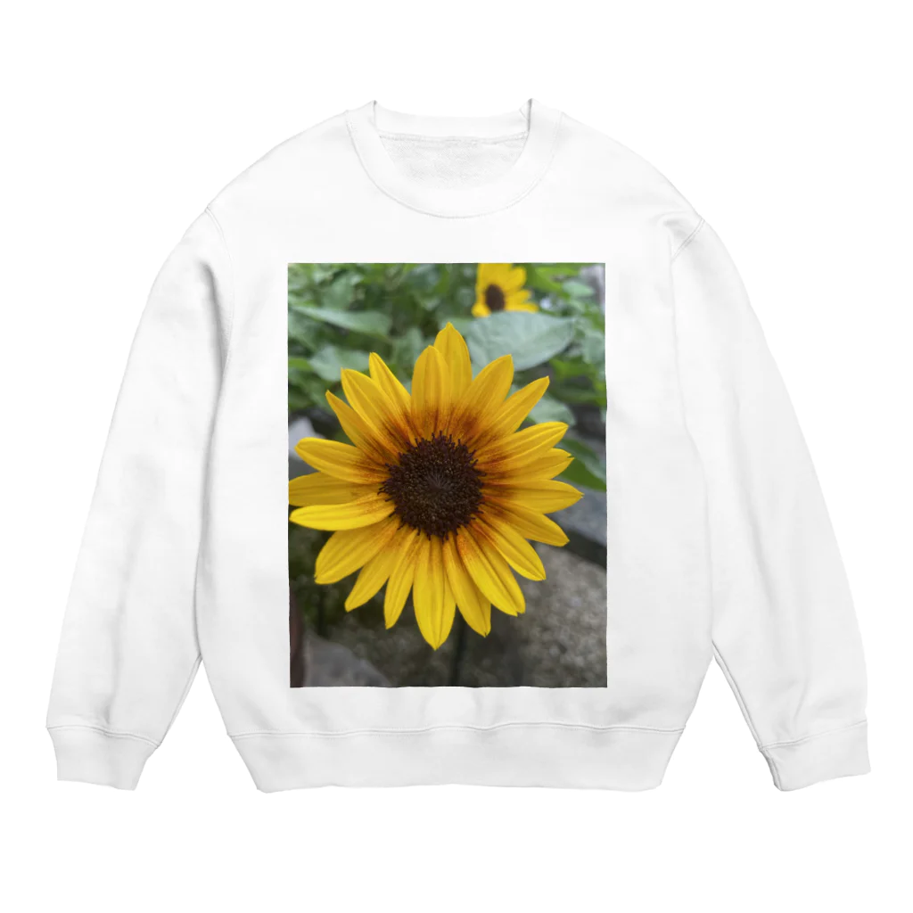 ま〜ぶる　ま〜ぶるのちょっぴり　まぶしい　ひまわり Crew Neck Sweatshirt