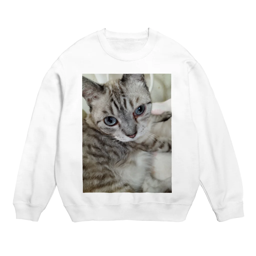 ねこの森でお散歩のフッワフワのシャムミックス Crew Neck Sweatshirt