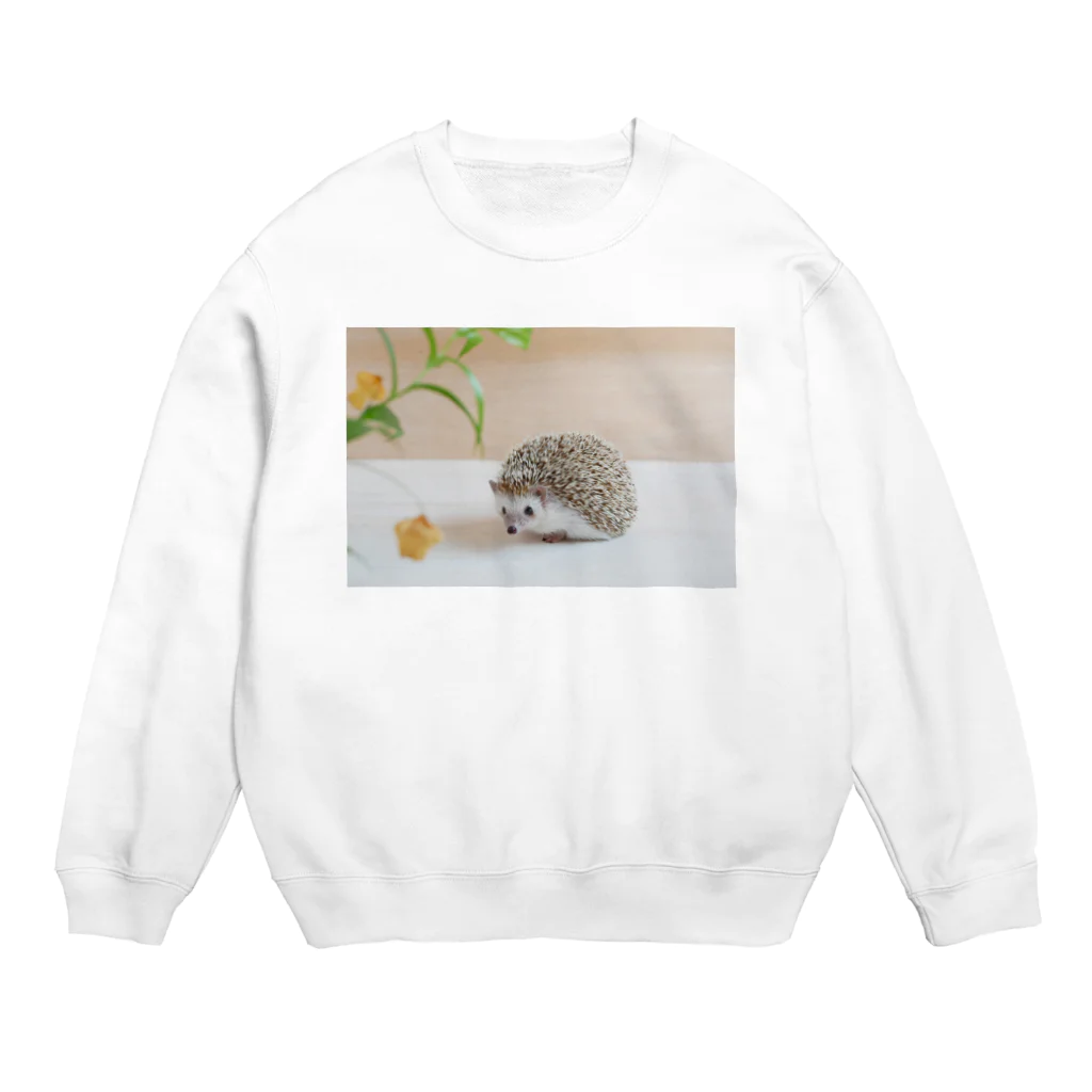 むぎこむ工房の上目遣いのハリネズミ Crew Neck Sweatshirt