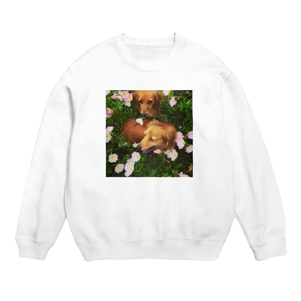 あとりえkittenのダックスのマロンとカプチーノと花畑 Crew Neck Sweatshirt