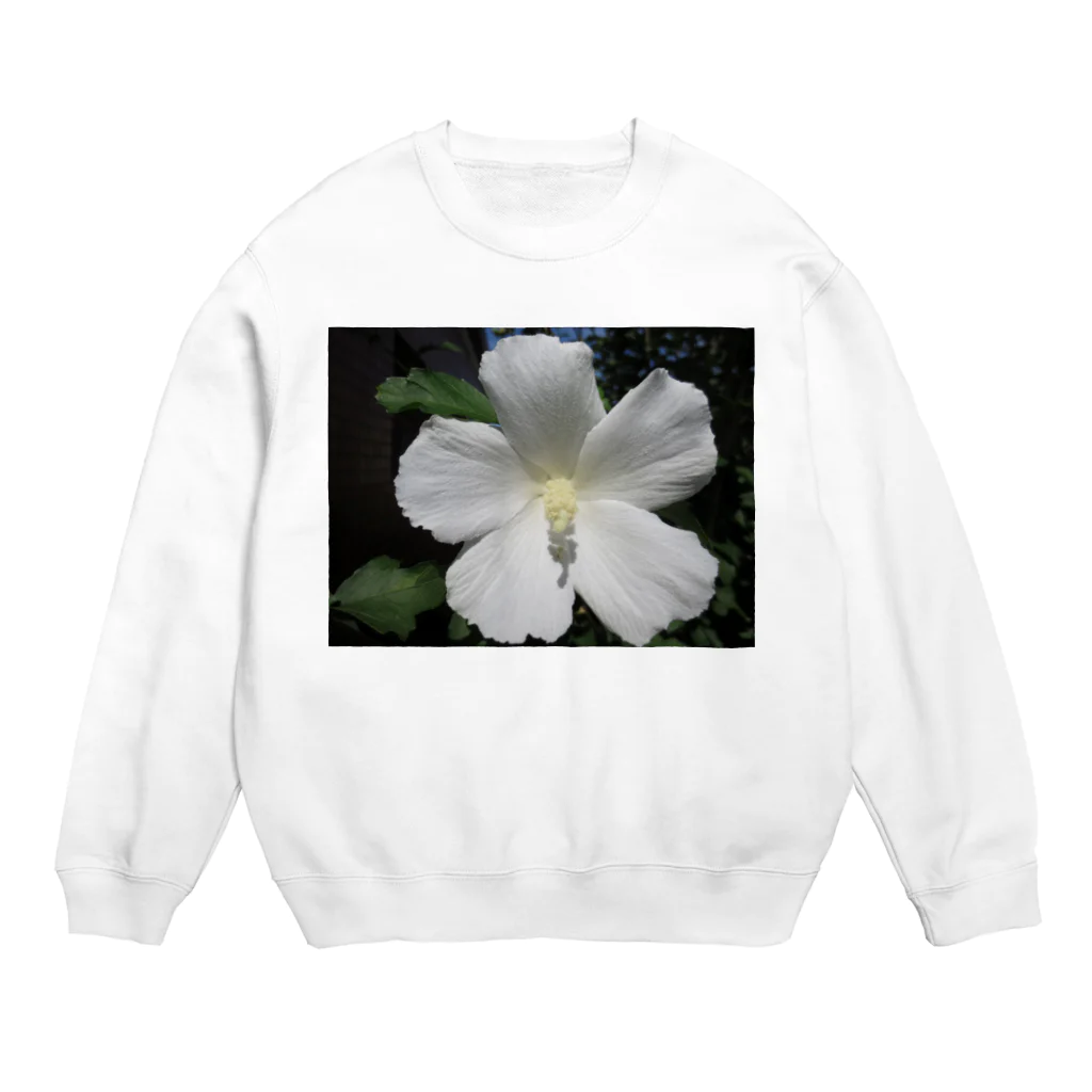 Dreamscape(LUNA)の純真蔓延 Crew Neck Sweatshirt