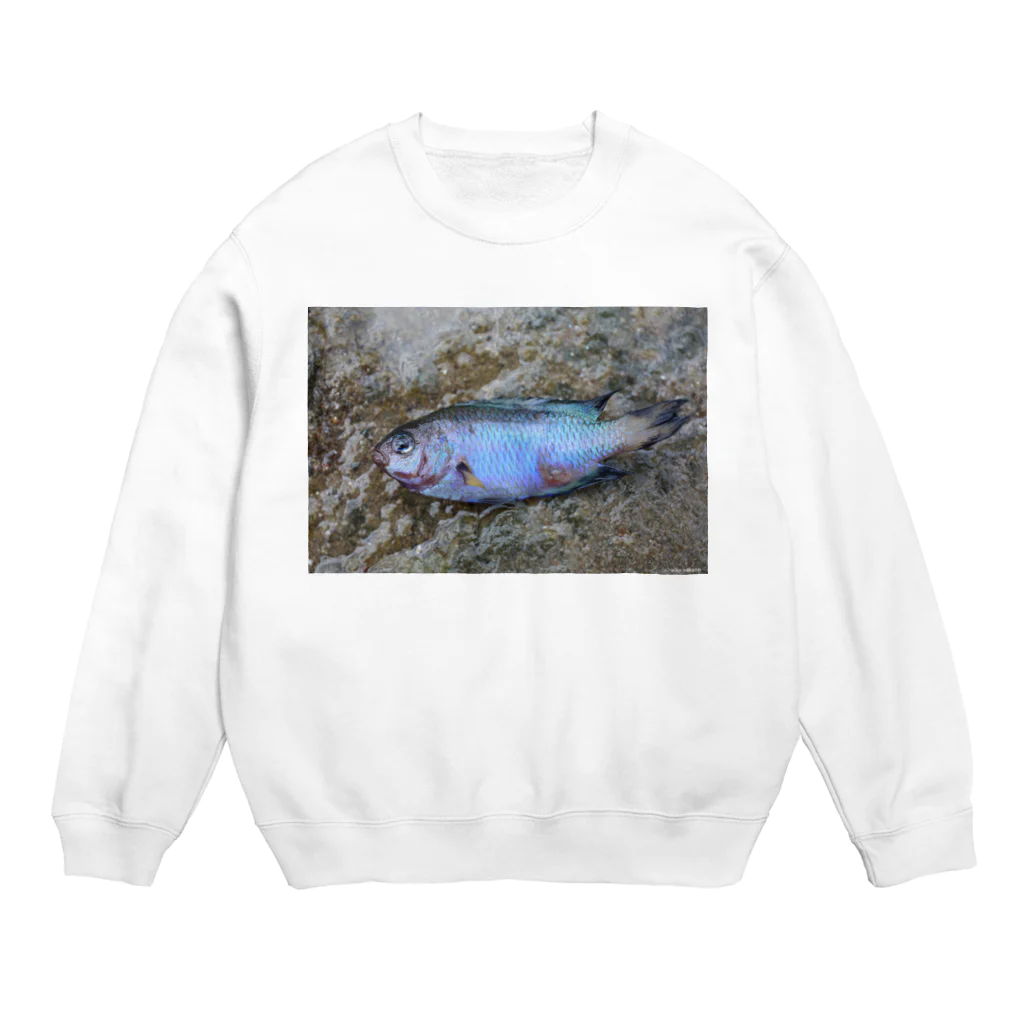 Aiko Nakanoの死んだ魚の目_ソラスズメダイ_20180825_0613' Crew Neck Sweatshirt