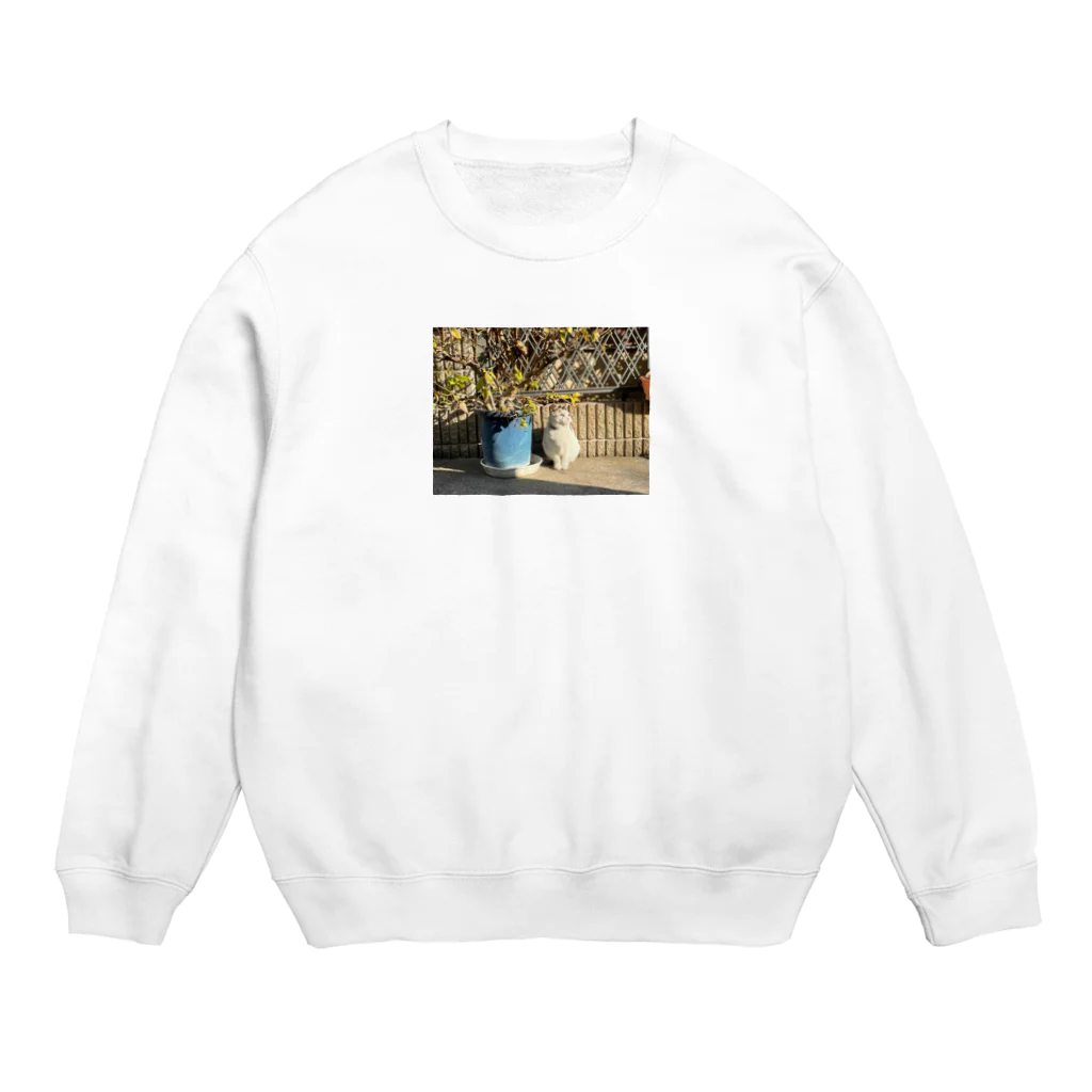 kambutsuyaの散歩の記憶② Crew Neck Sweatshirt