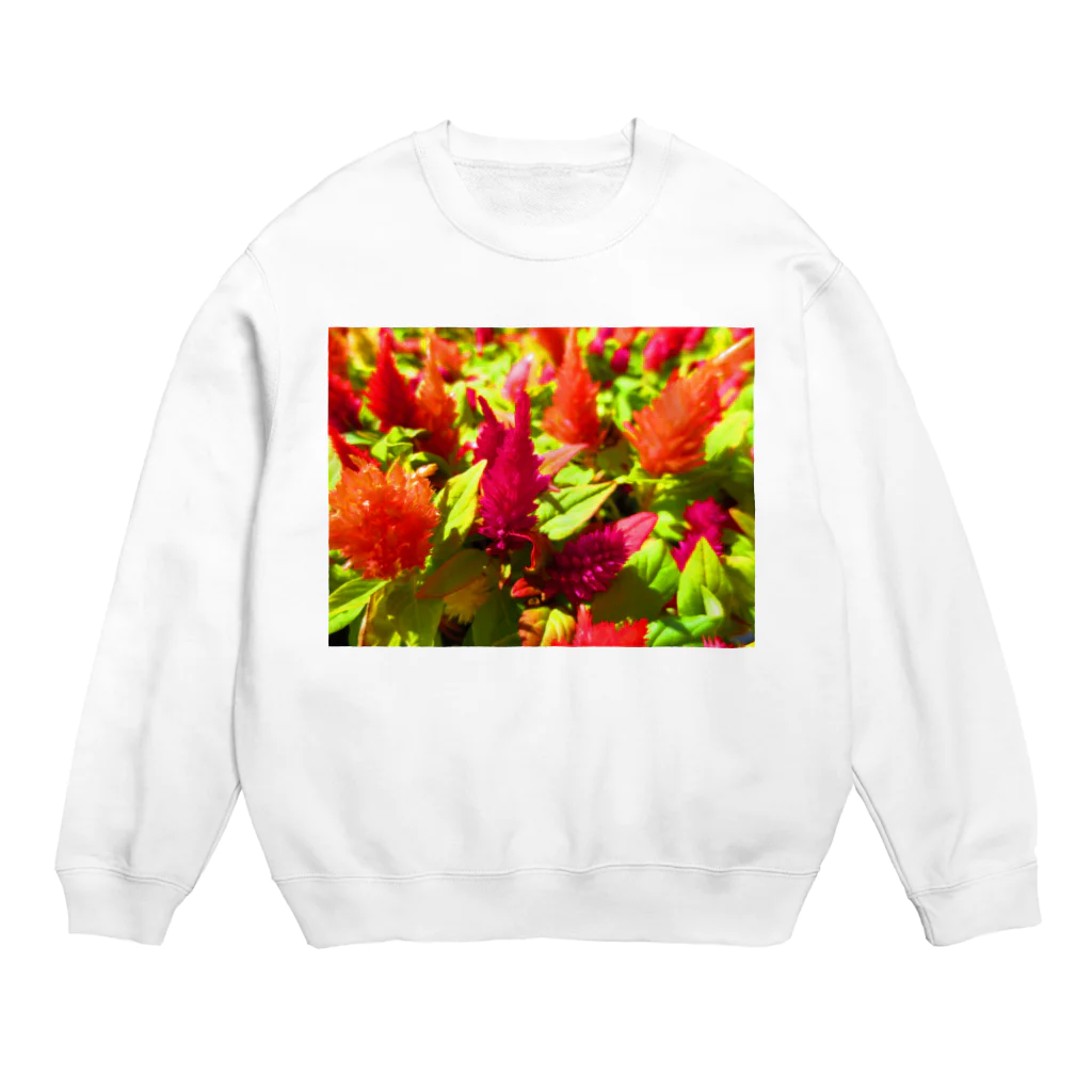 Dreamscape(LUNA)の鮮やかカラー！！ Crew Neck Sweatshirt