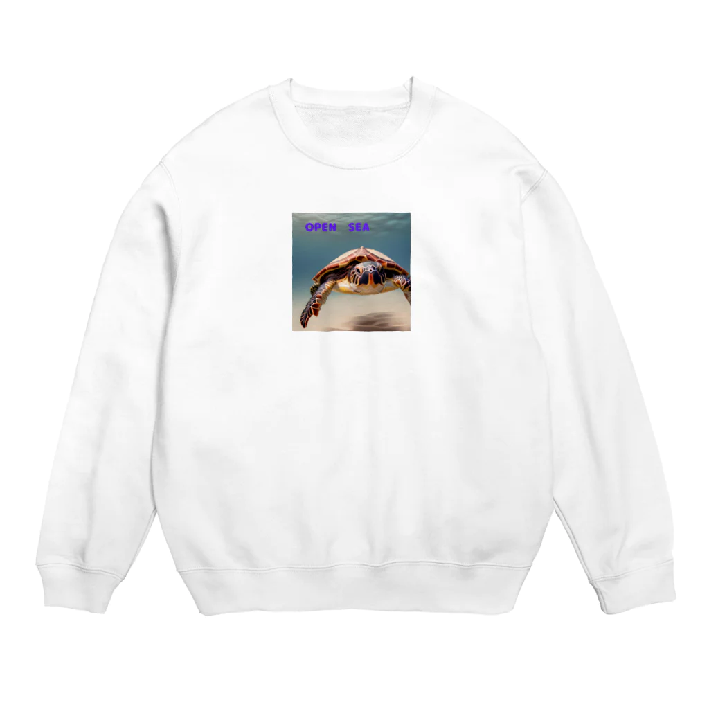 POPstore-japanのOPEN　SEA Crew Neck Sweatshirt