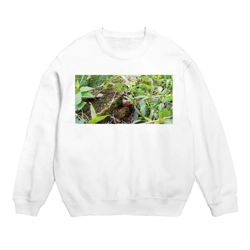 tizujonoboukenの自然豊か Crew Neck Sweatshirt