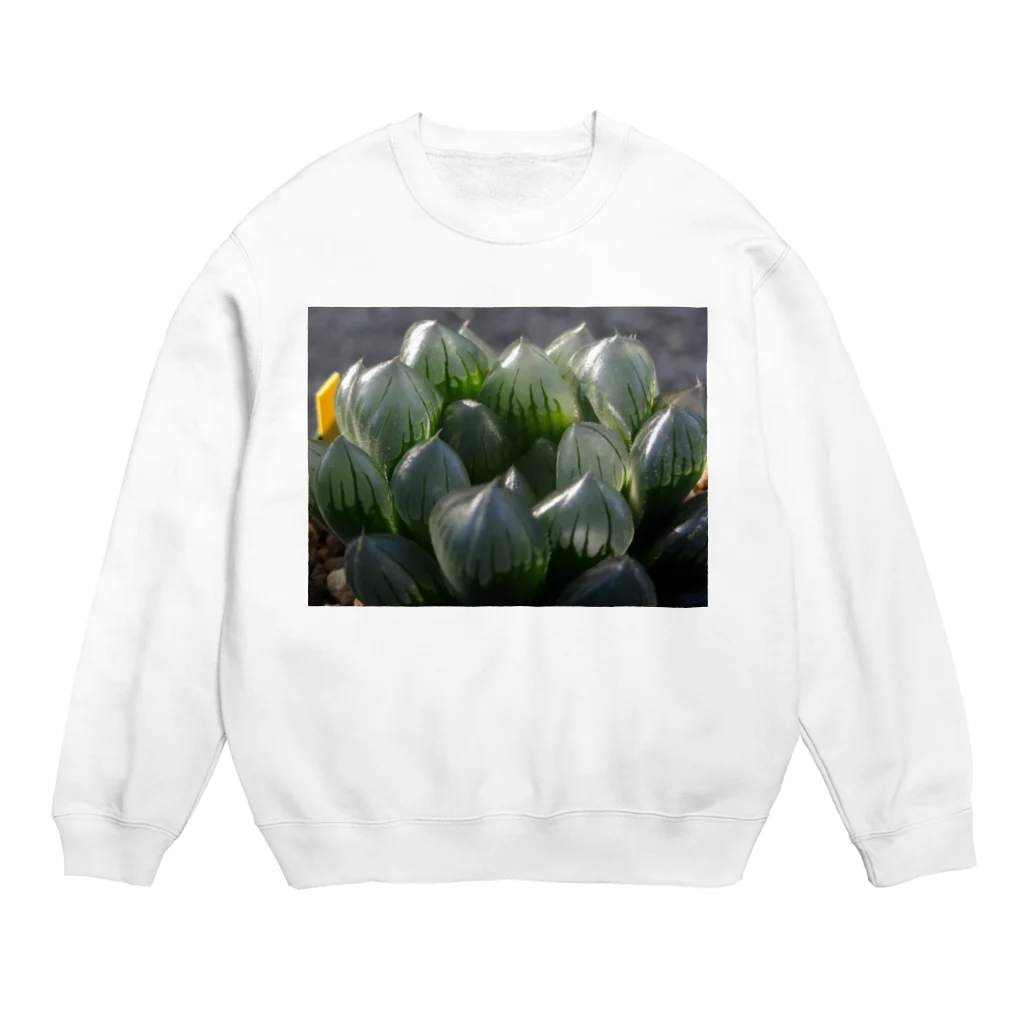 Hal.succulets forestの多肉植物 ハオルチア Crew Neck Sweatshirt