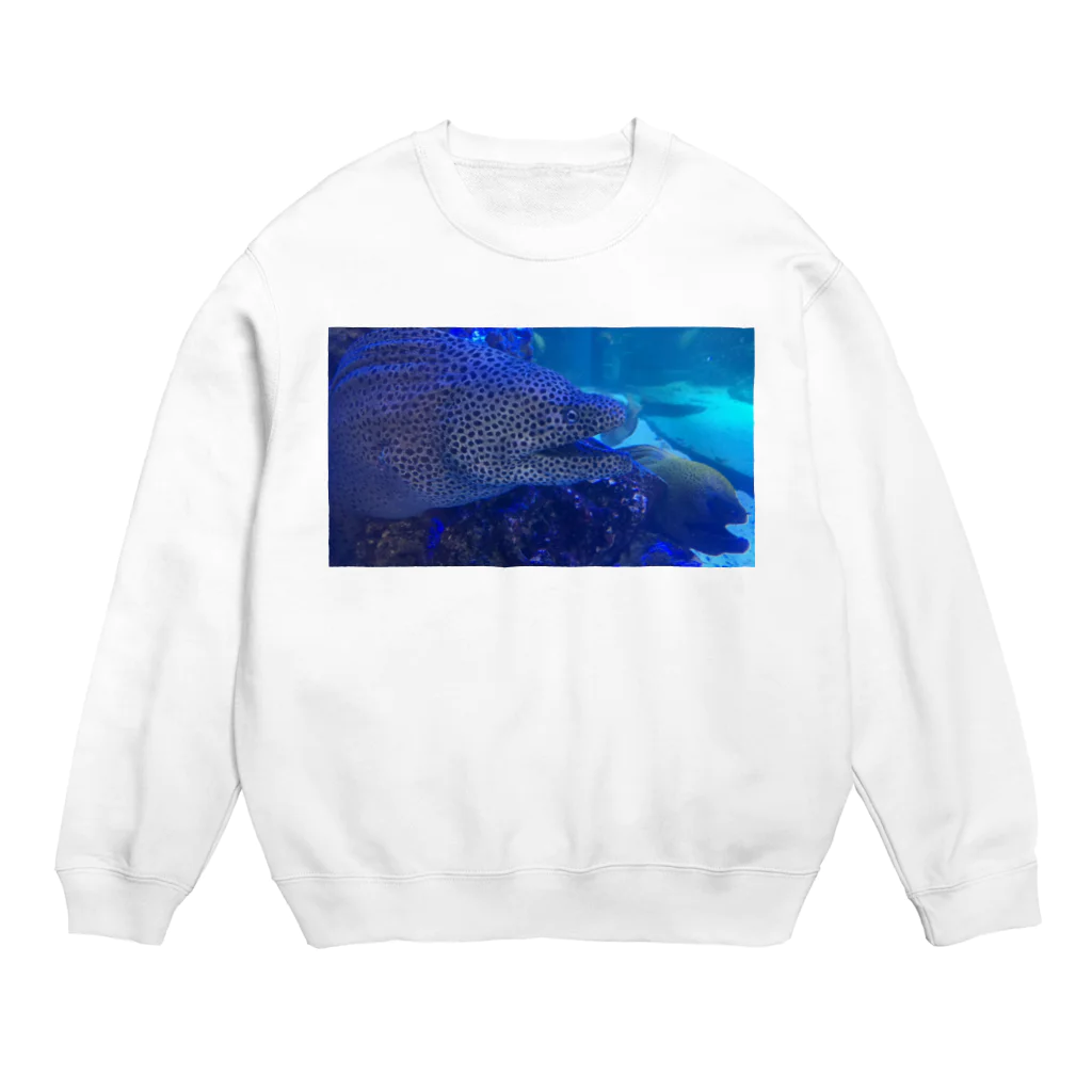 気まぐれでーすよのウツボ可愛い Crew Neck Sweatshirt