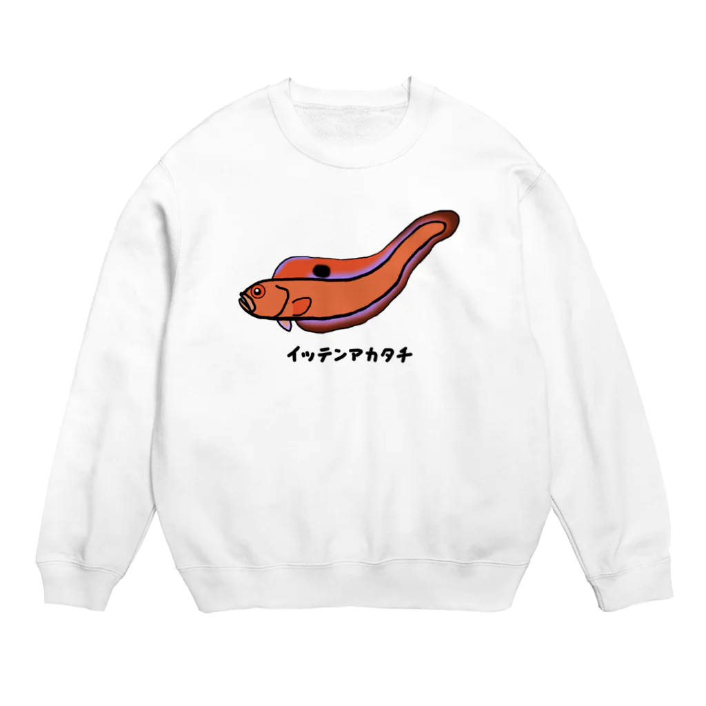 脂身通信Ｚの【魚シリーズ】イッテンアカタチ♪231103 Crew Neck Sweatshirt