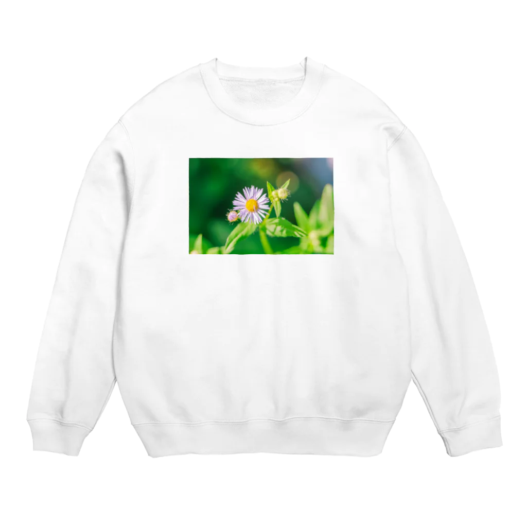 星のこどもたちのヒメジョオン Crew Neck Sweatshirt